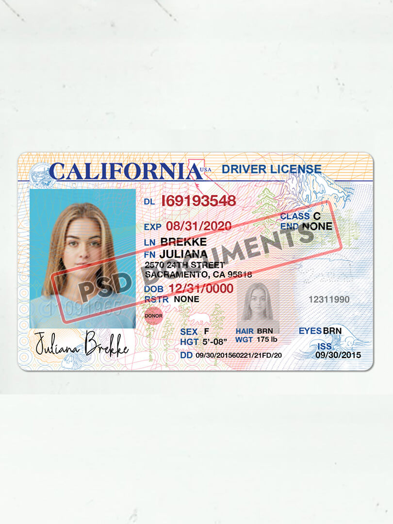 California Driving License Template