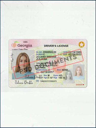 Georgia Driver's License