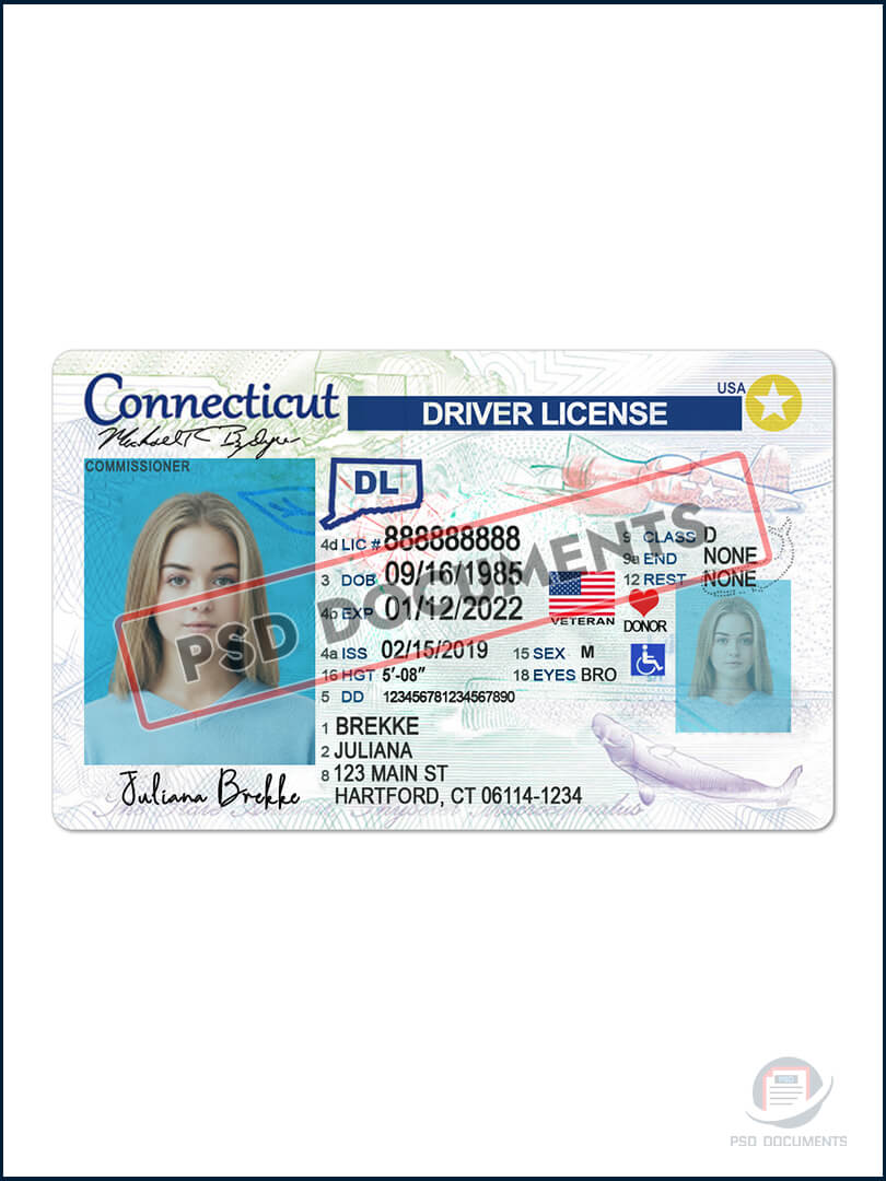 Connecticut Driver License