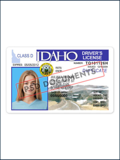 Idaho Driver License